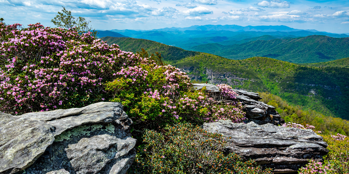 photo by James M Davidson Orchard Hill Media